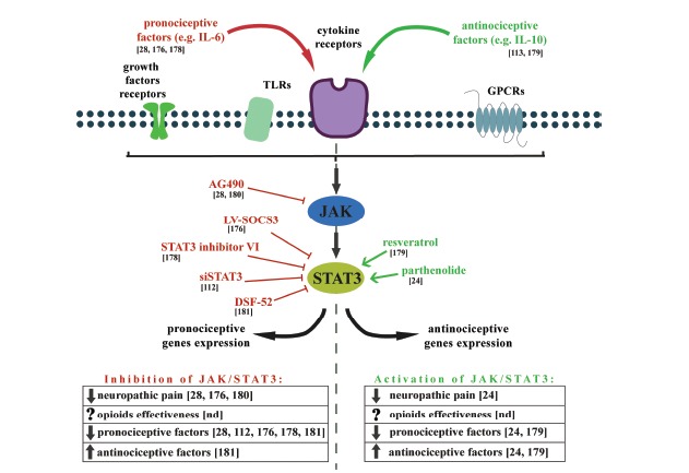 Fig. (5)