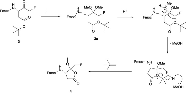 Scheme 2