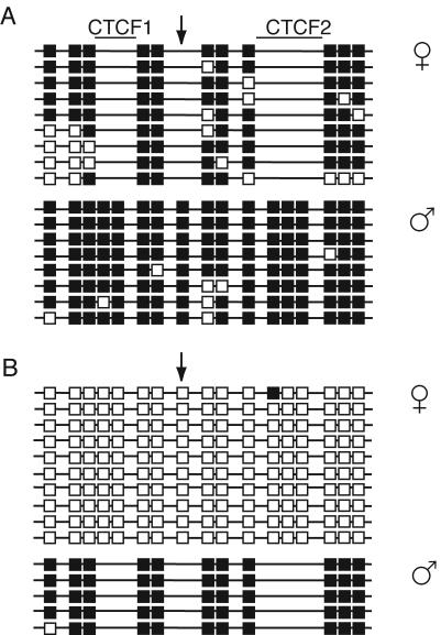 FIG. 5.