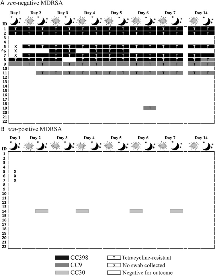 Figure 3