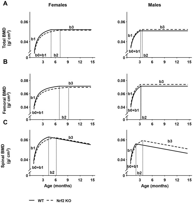 Fig 5