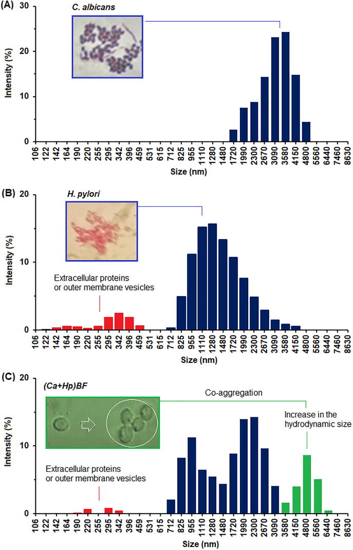 Fig. 10