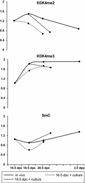 Fig. 6