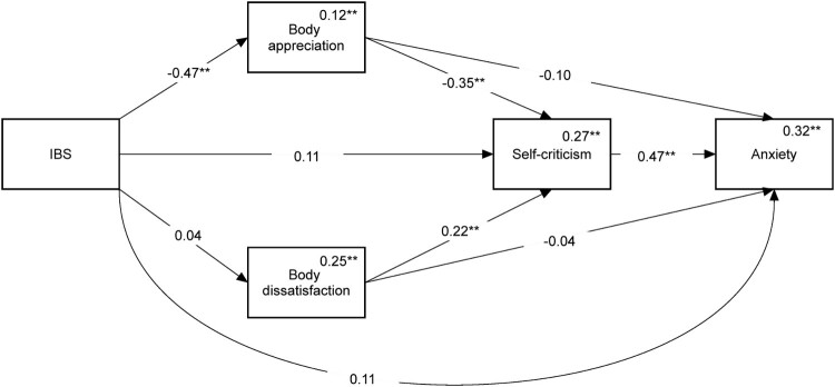 Path analysis diagram showing the results of the association between IBS and anxiety. The model depicts an indirect link between IBS and anxiety, with body appreciation and self-criticism as mediators of this link.