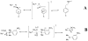 Scheme 4