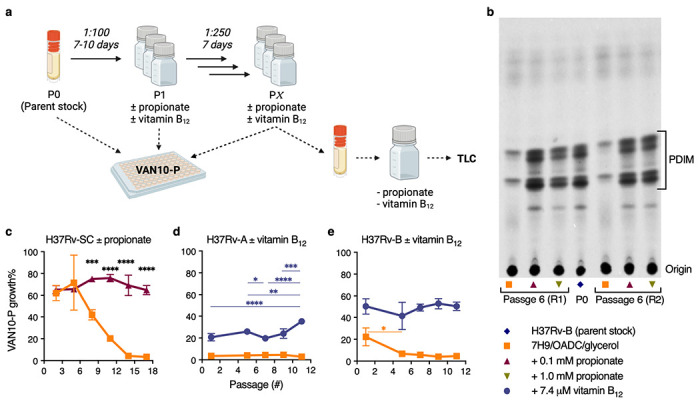 Extended Data Fig. 8 |