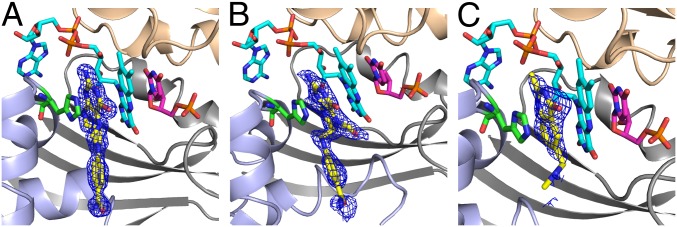 Fig. 3.