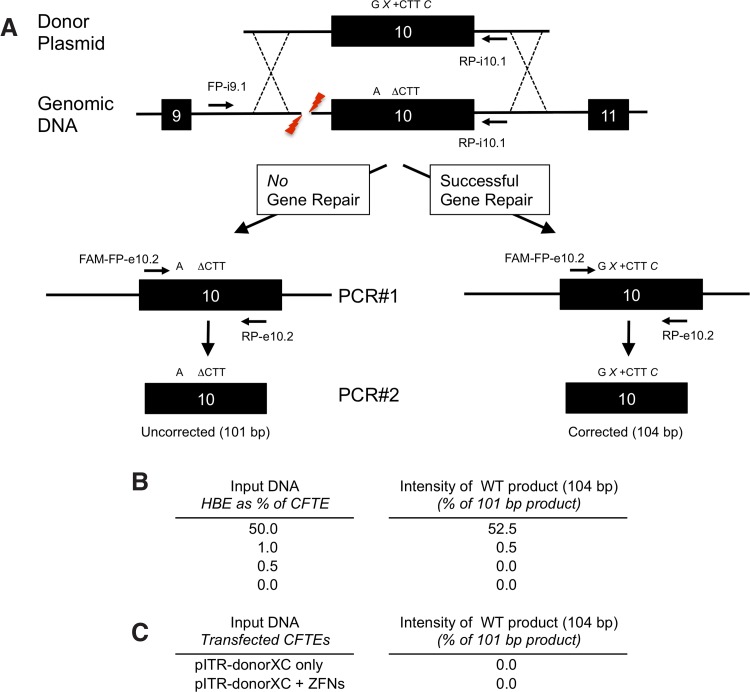 FIG. 6.