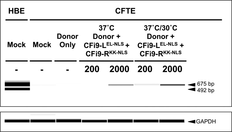 FIG. 5.