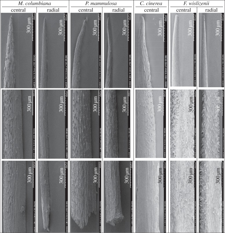 Figure 7.