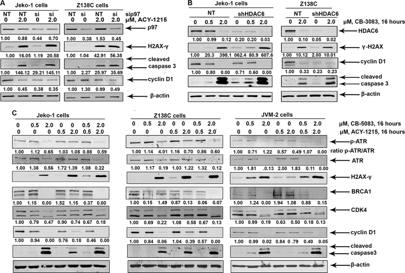 Figure 5: