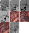 Fig. 8.