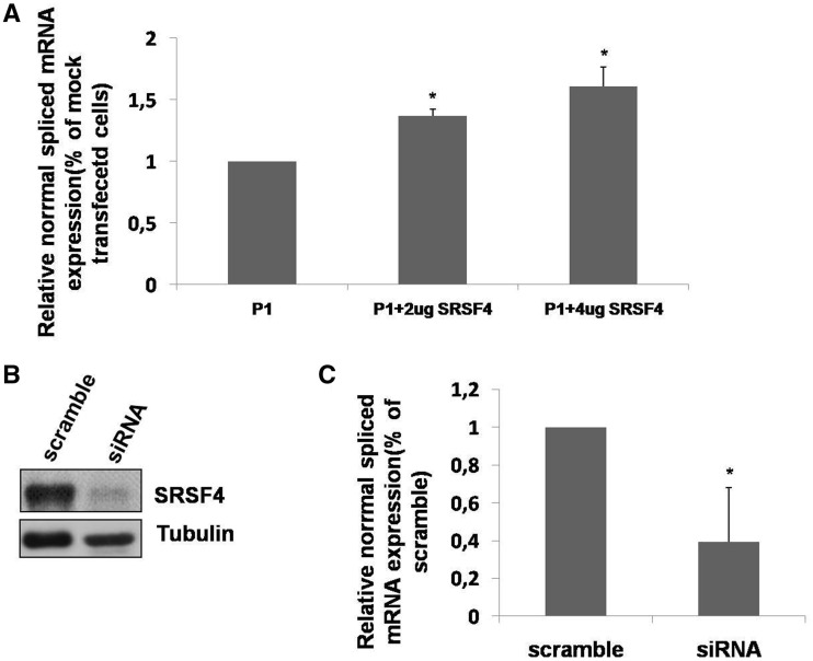 Figure 4.