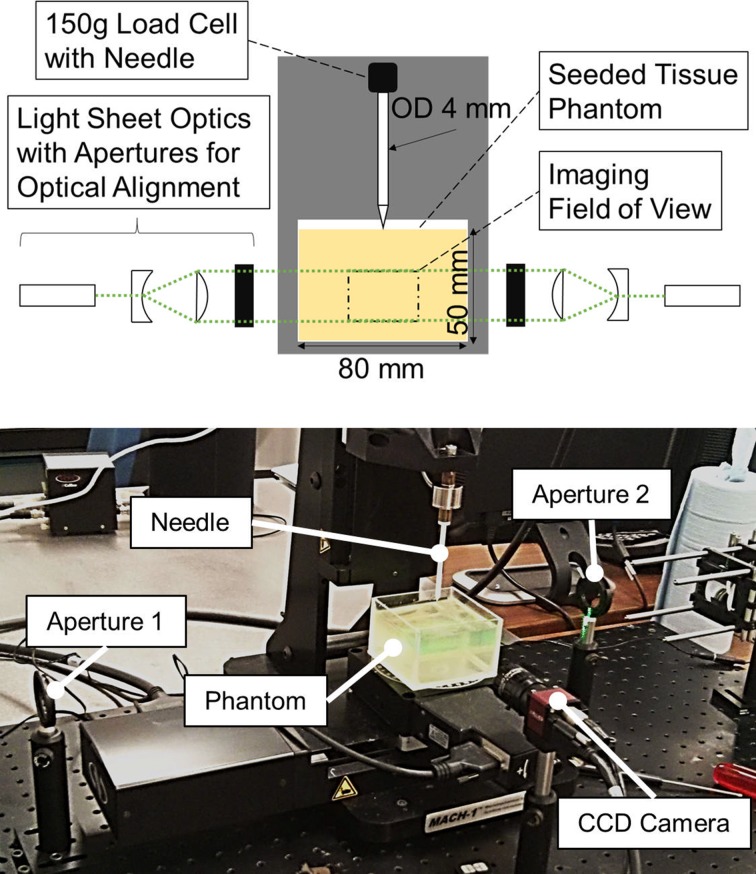 Figure 3