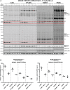 Figure 6.