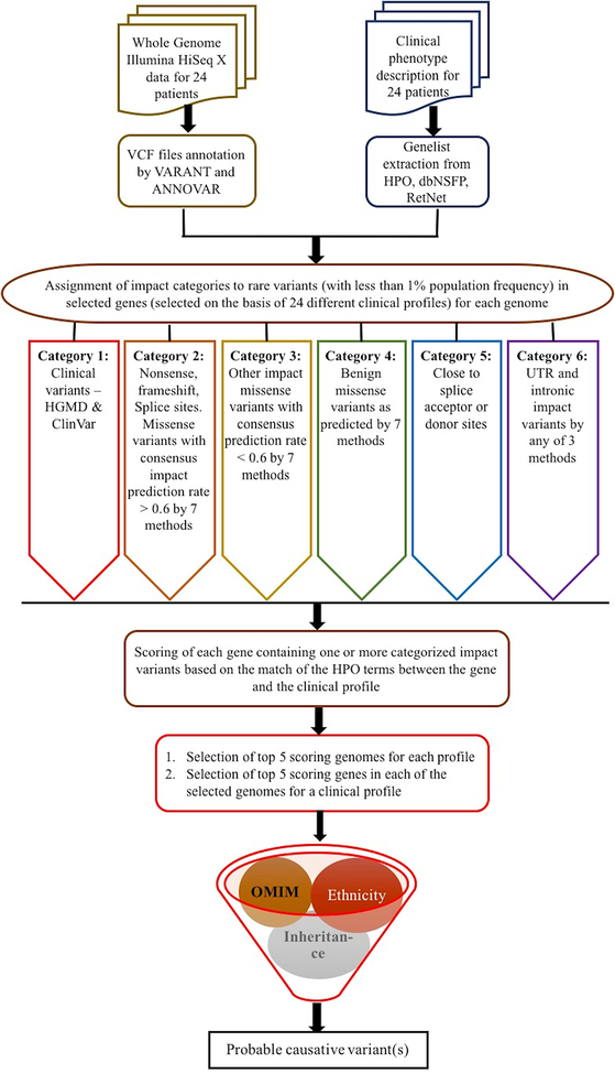 Figure 1: