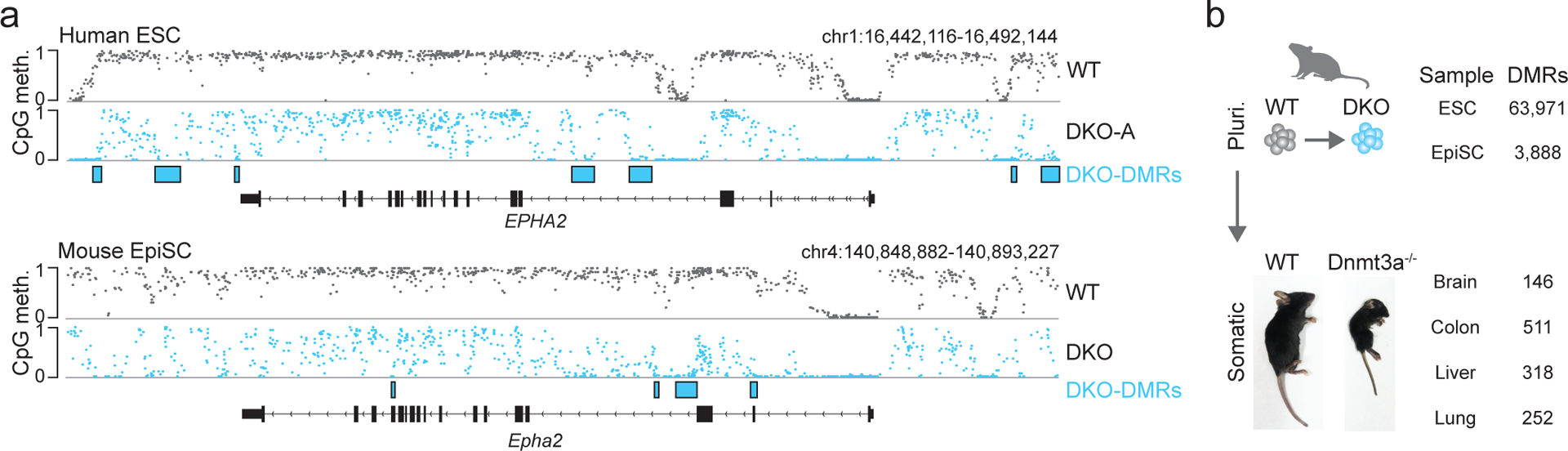 Figure 4: