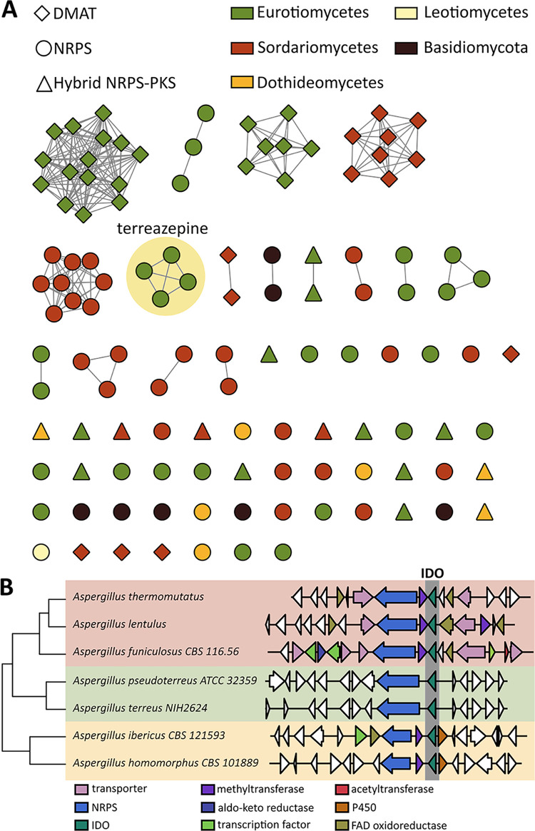 FIG 3