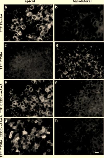 FIG. 7