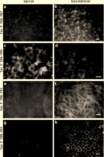 FIG. 5