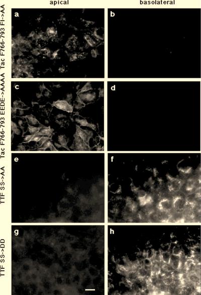 FIG. 6