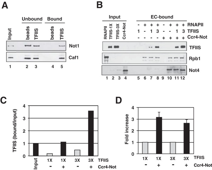 FIG 6