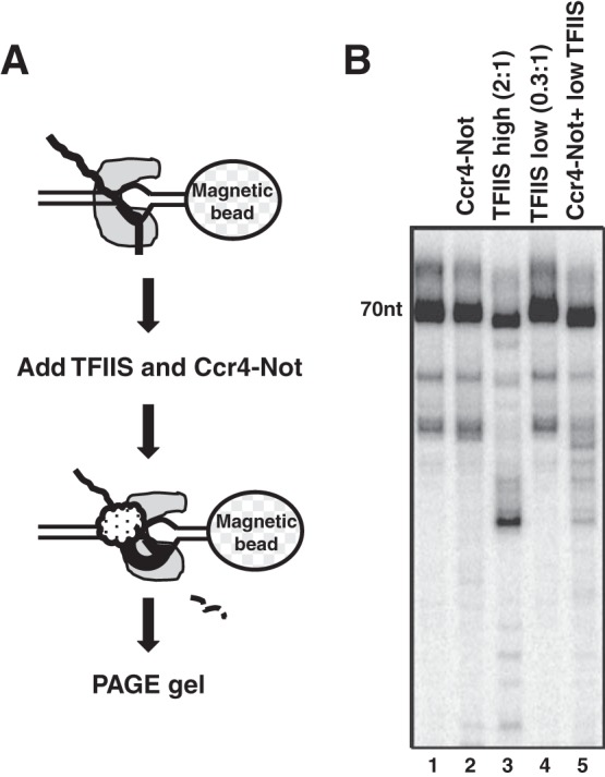 FIG 4