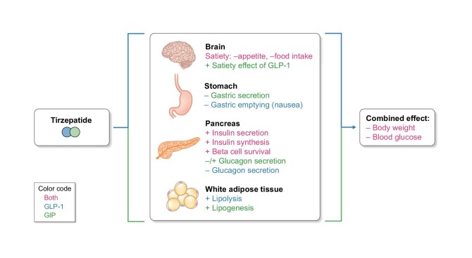 Figure 3: