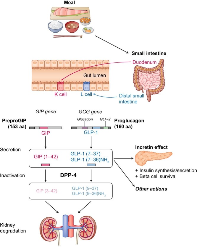 Figure 2: