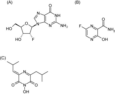 Fig. 12