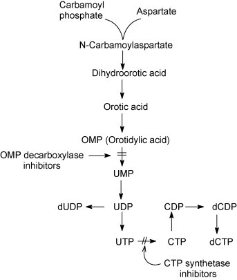 Fig. 22