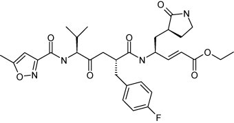 Fig. 10