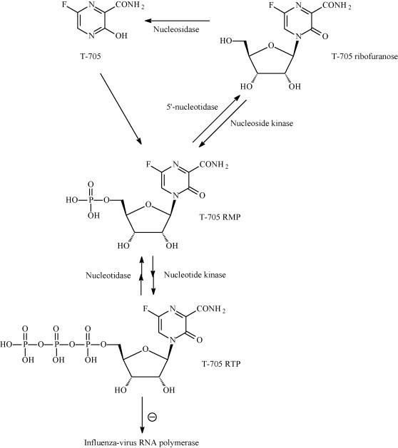 Fig. 13