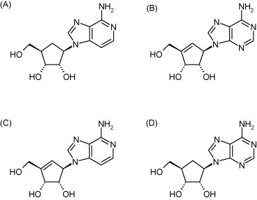 Fig. 19