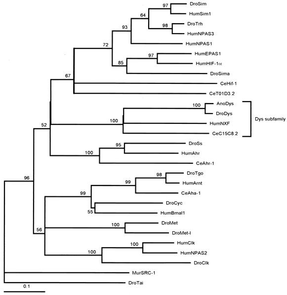 FIG. 2.