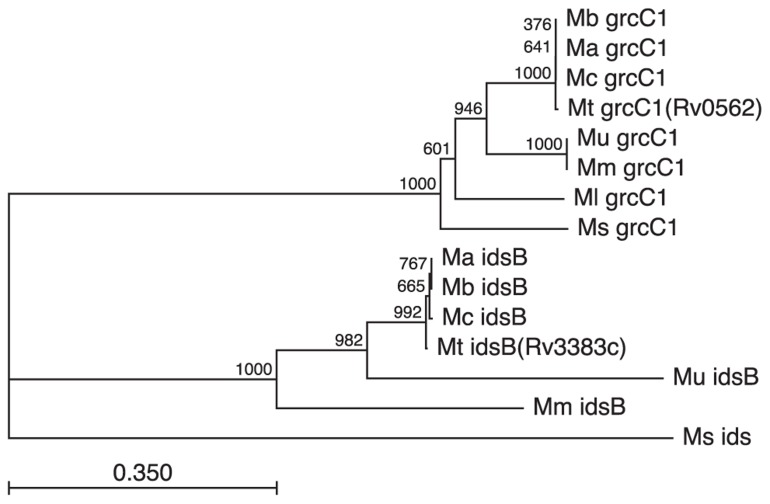 FIGURE 6