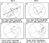 Fig. 8.
