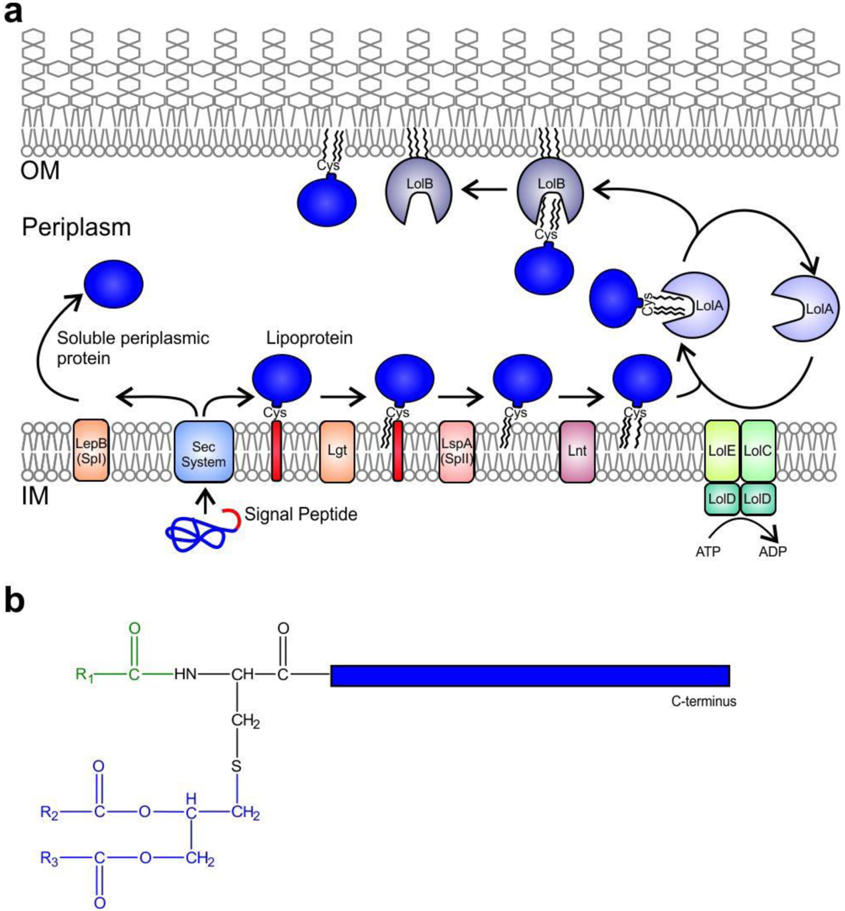 Figure 62.