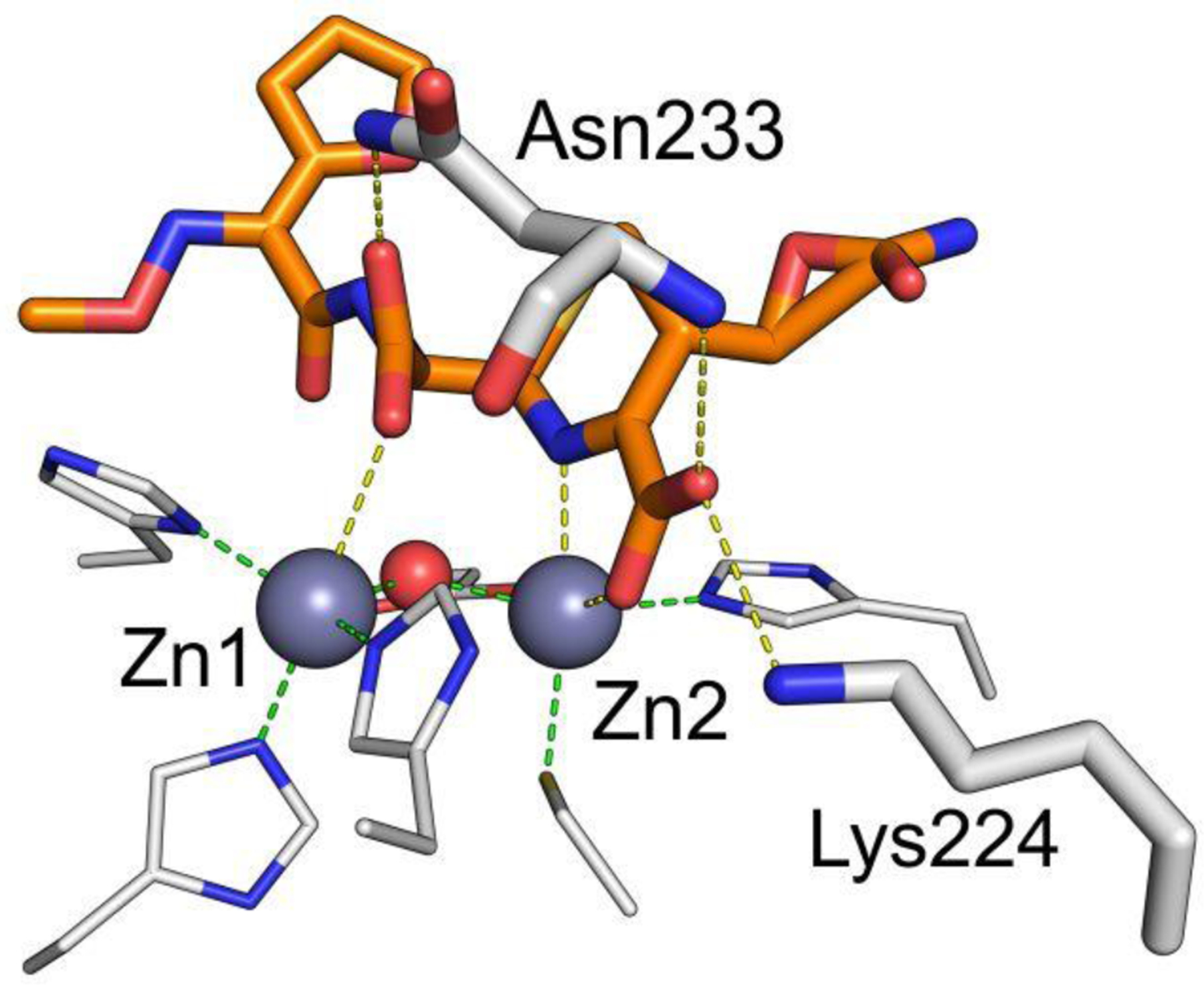 Figure 43.