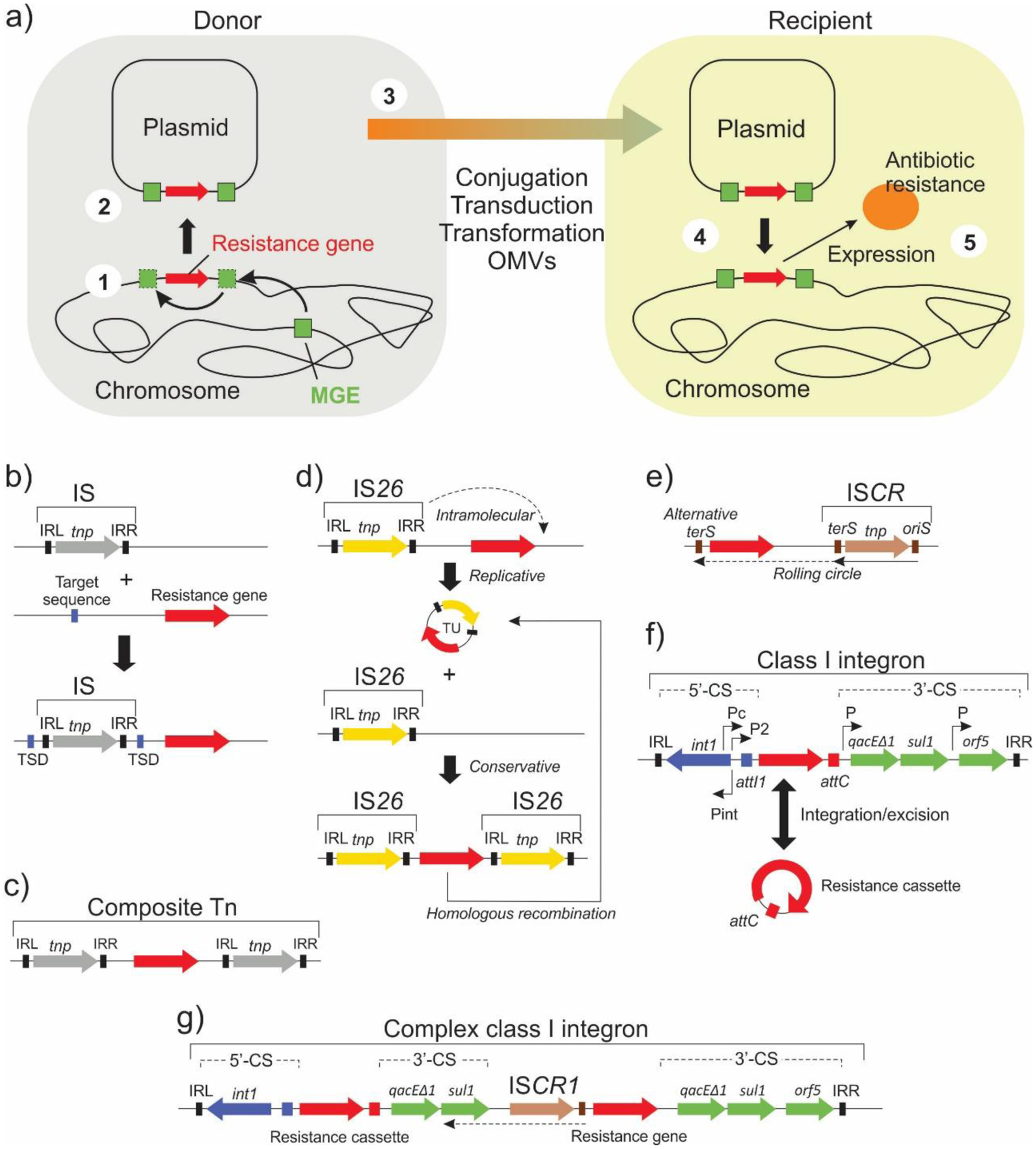 Figure 65