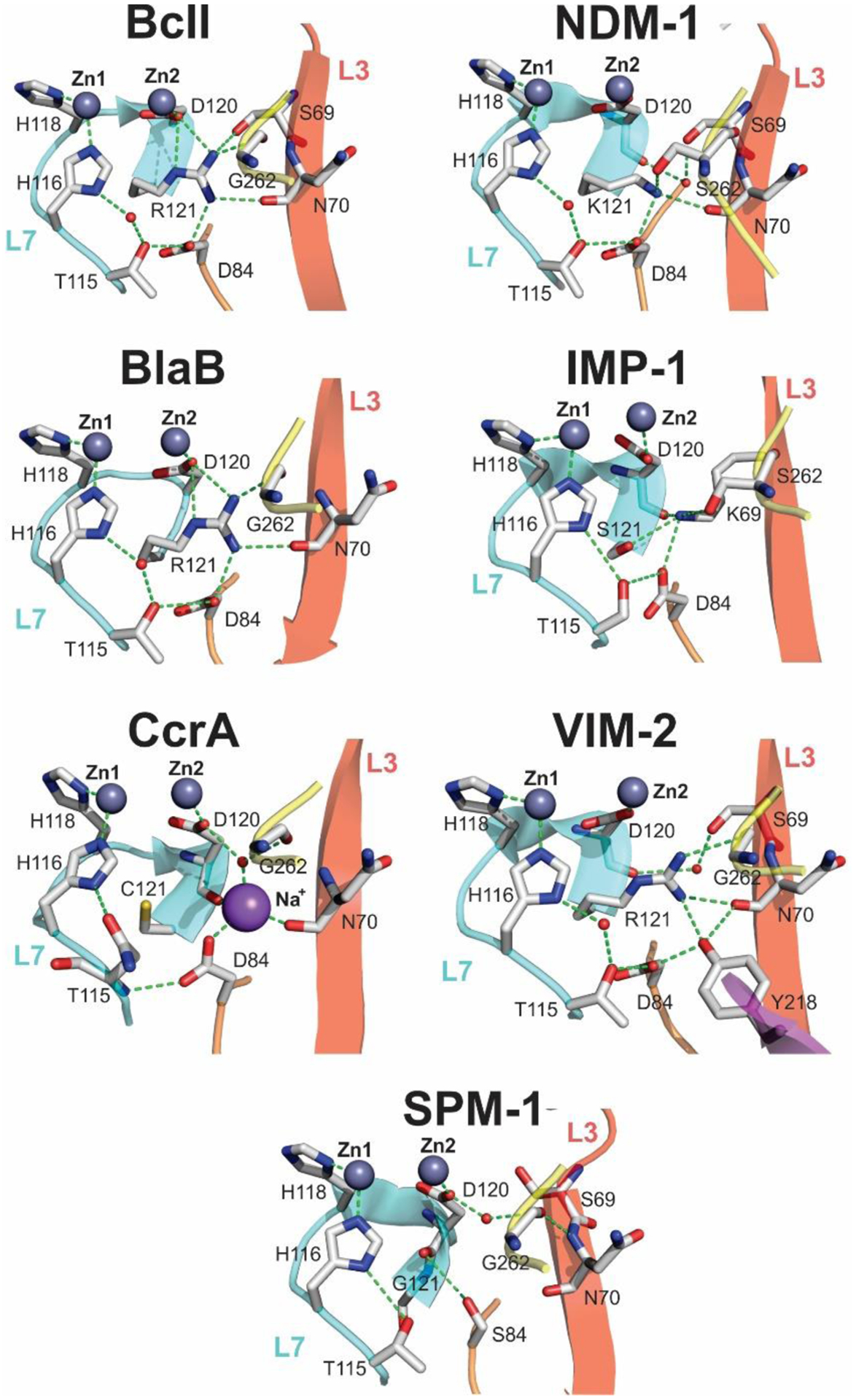 Figure 16.