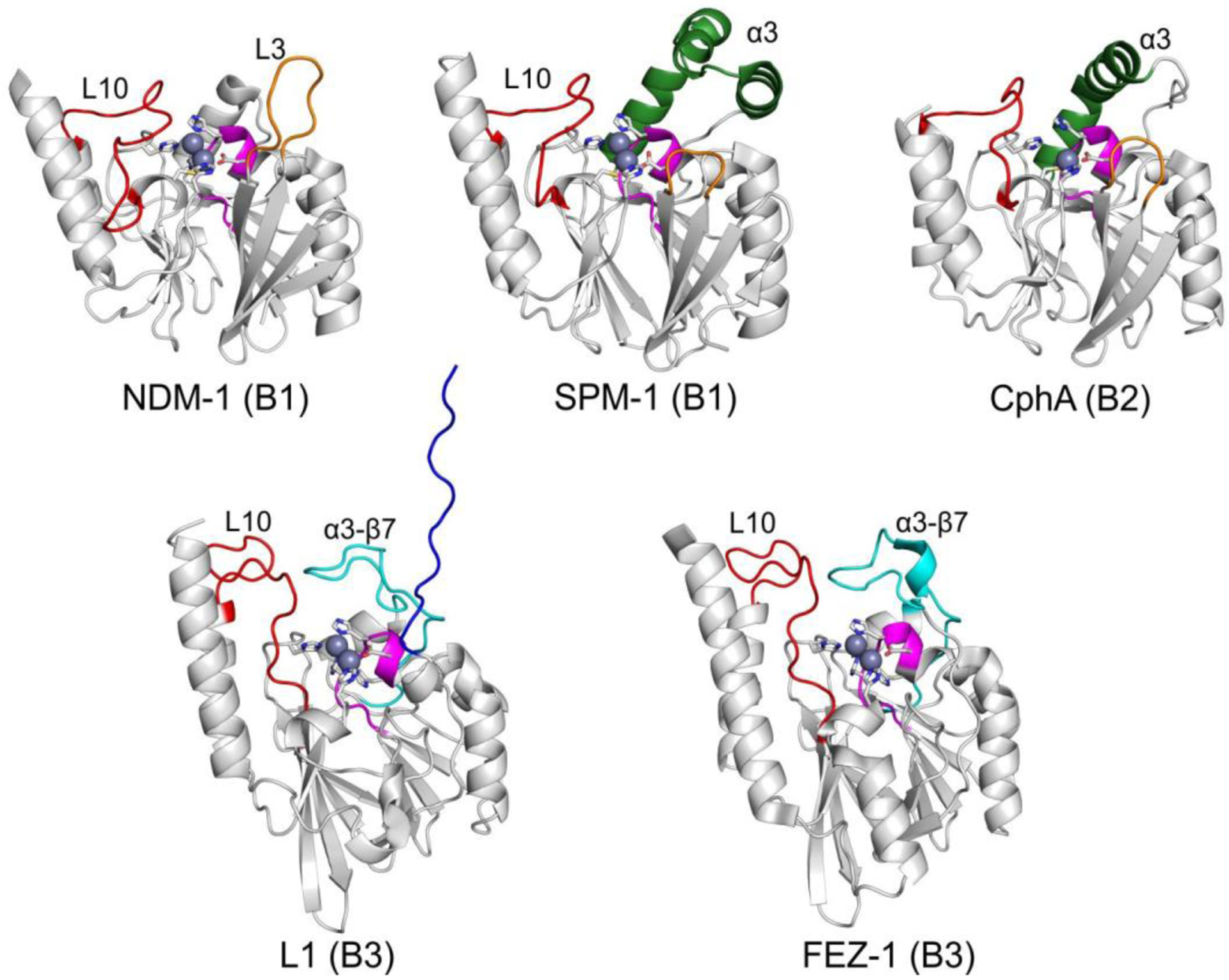 Figure 14.