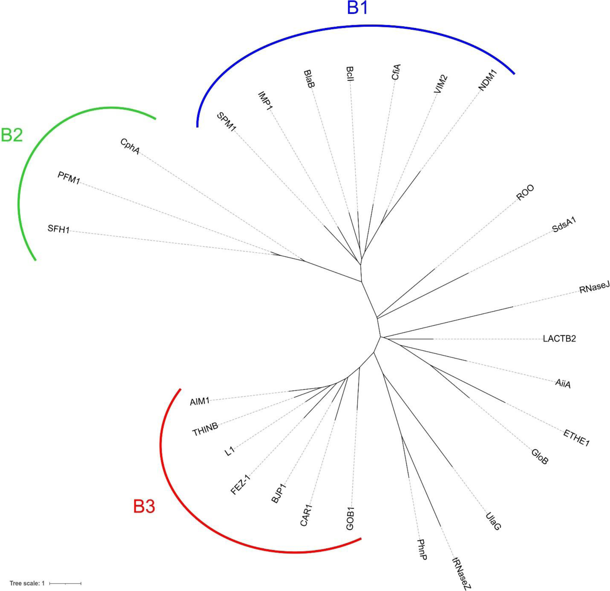 Figure 33.