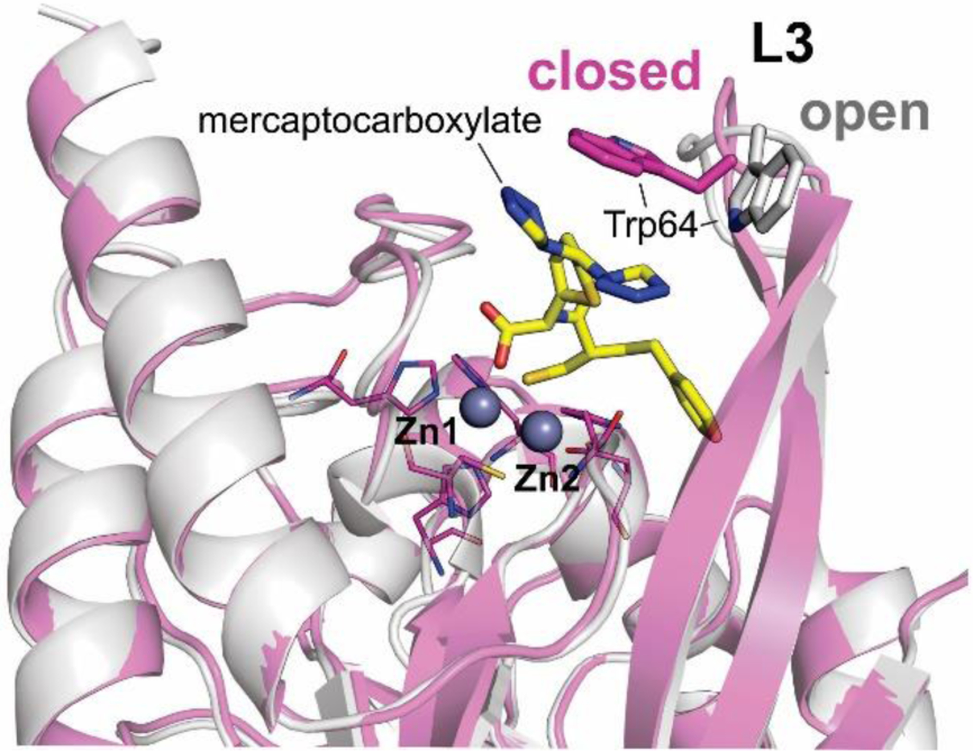 Figure 20.