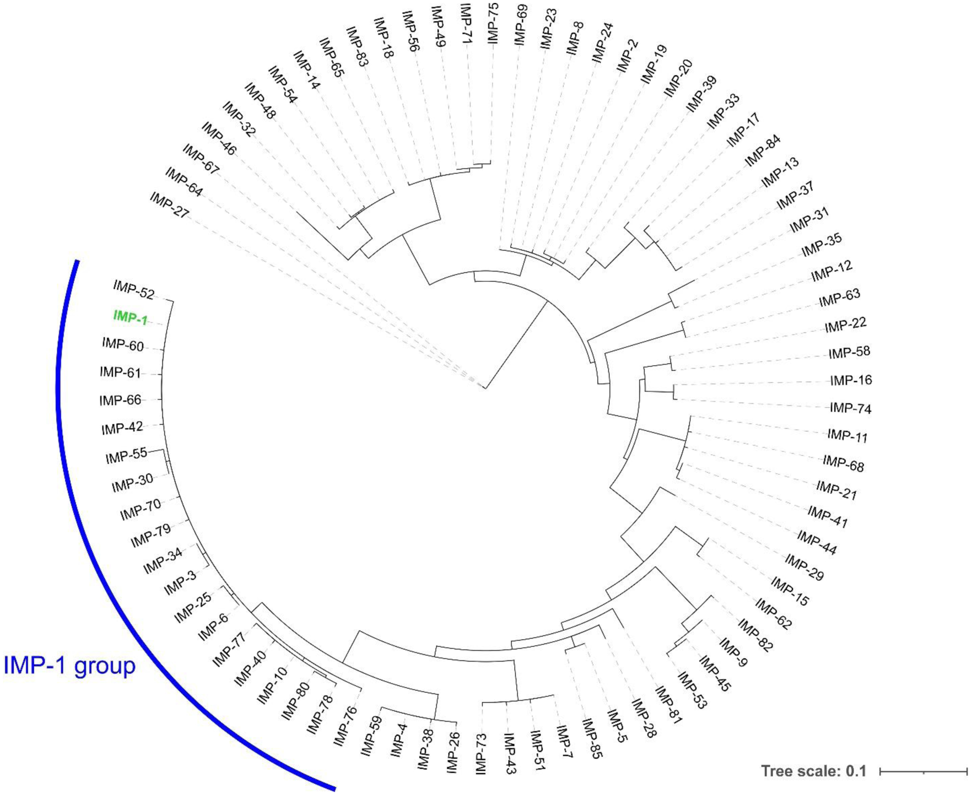 Figure 17.