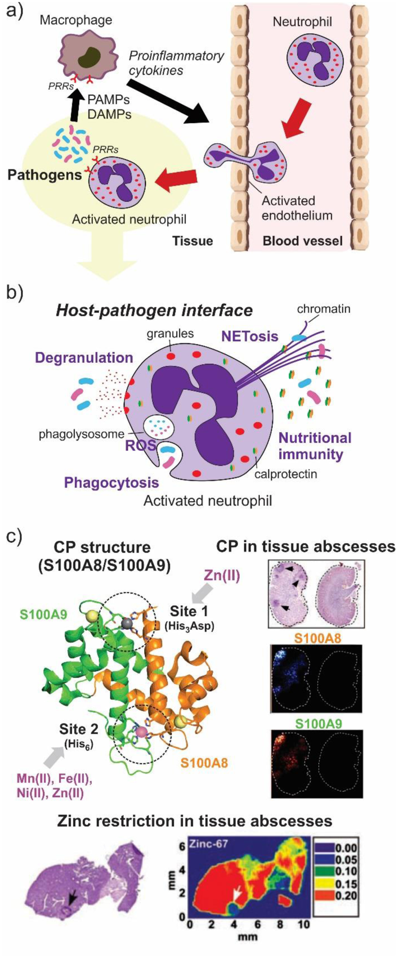 Figure 67.