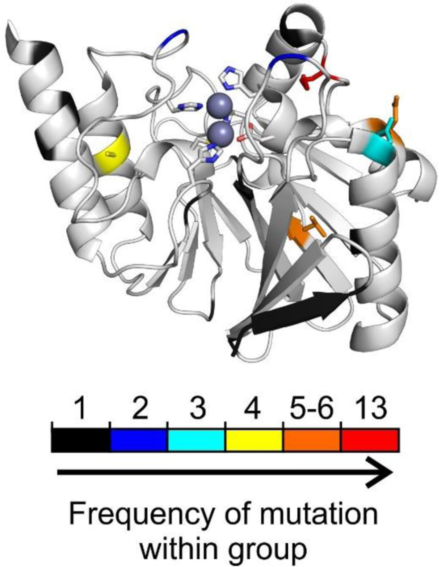 Figure 28.