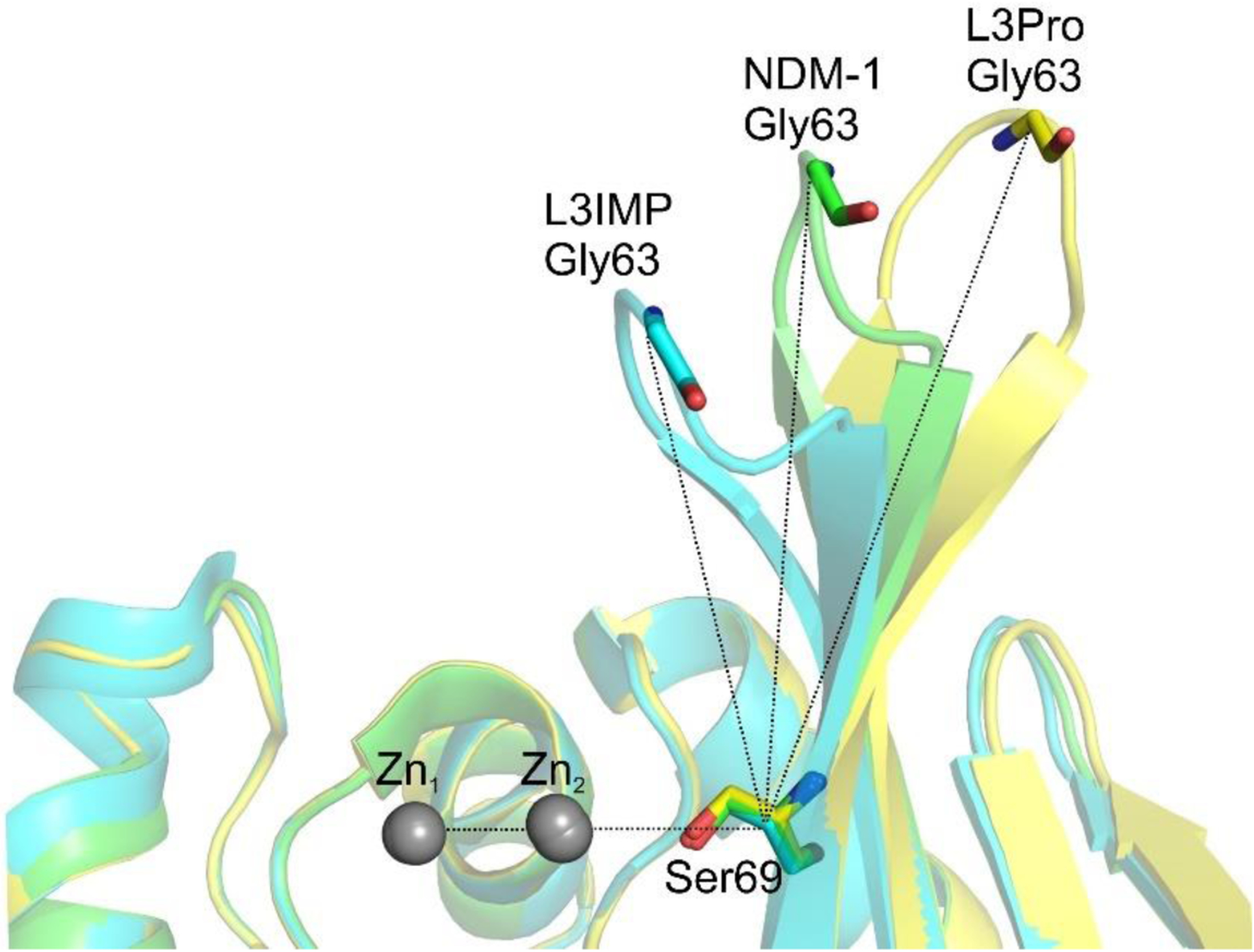 Figure 31.