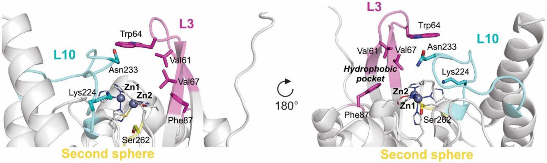 Figure 19.