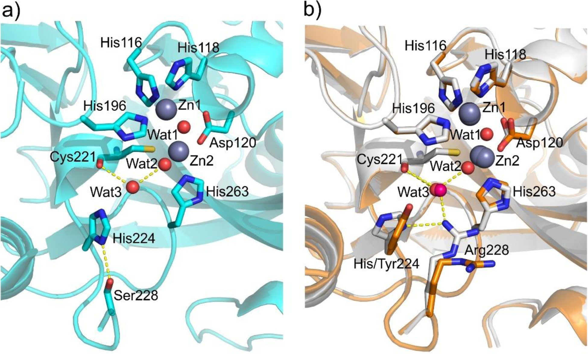 Figure 25.